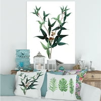 Антички зелени лисја растенија viii сликање платно уметнички принт