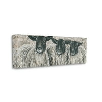 СТУПЕЛ ИНДУСТРИИ Три овци Трио рурална фарма Порттска галерија за сликање завиткани од платно печатење wallидна уметност, дизајн