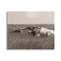Студената индустрија Лонгхорн добиток што го зафаќа село Сонцето Пасиште 16, Дизајн на Лори Деитер