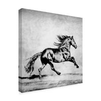 Трговска марка ликовна уметност „Црно -бели коњи II“ платно уметност од Фбурчет