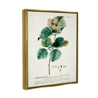 Sumn Industries Botanical Plant Illustration Seeds Vintage дизајн Металик злато врамено лебдечко платно wallидна уметност, 24х30