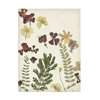 Регина Мур „Притиснато цвеќе аранжман i“ платно уметност